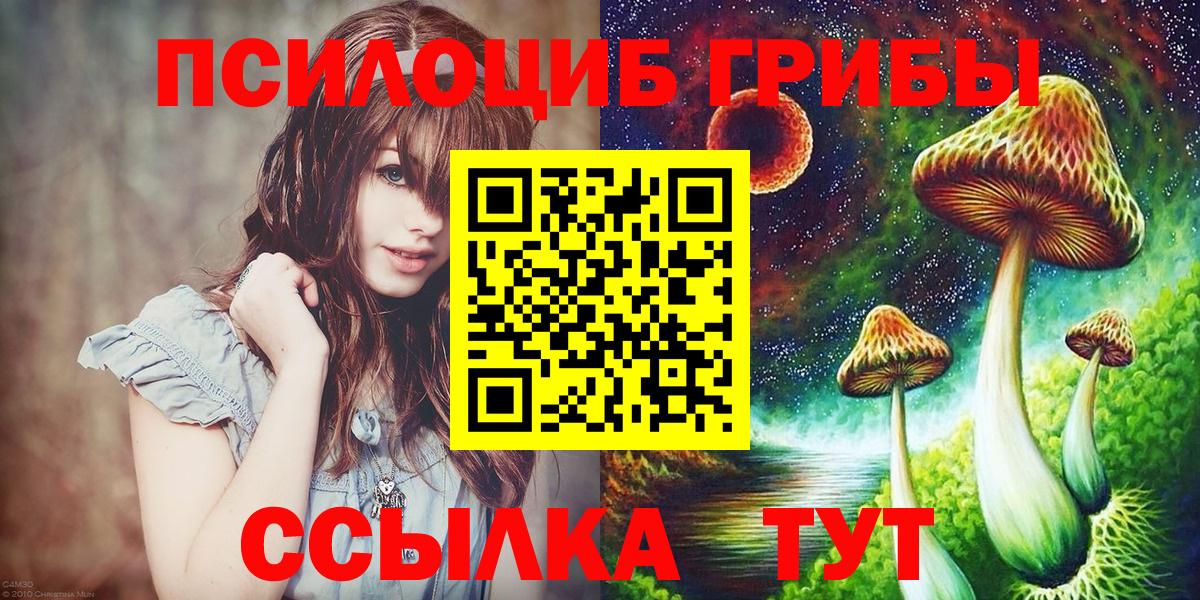 Орехово-Зуево  Галлюциногенные грибы Psilocybe  Вход с VPN  Псилоцибиновые грибы Psilocybe 