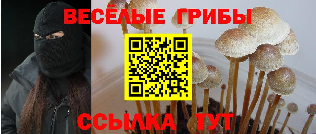 Псилоцибиновые грибы ЛСД Орехово-Зуево
